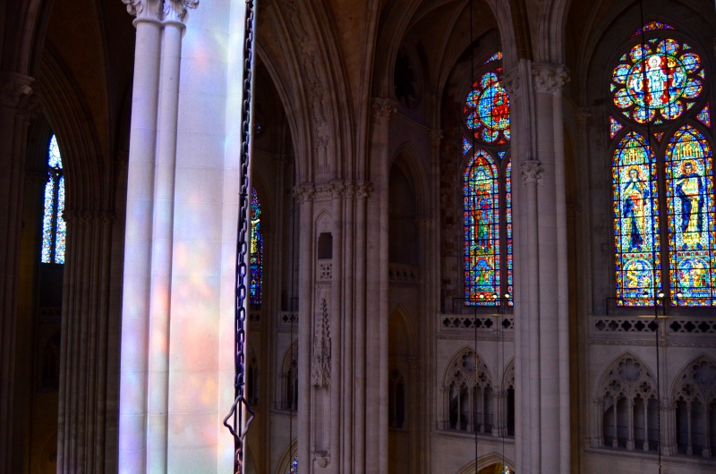 Portals of Light: The Stained Glass of the Cathedral