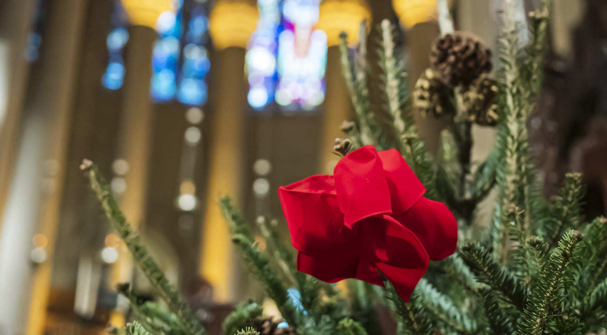 Christmas Day: Holy Eucharist
