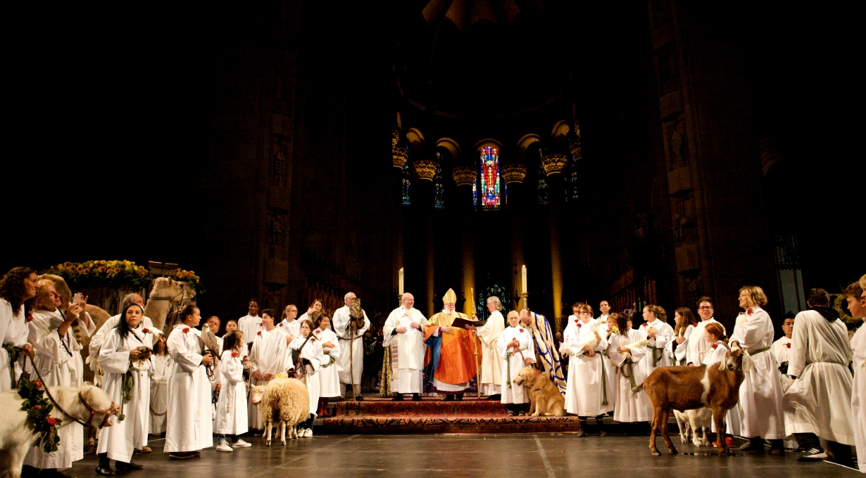 The Feast of St. Francis
