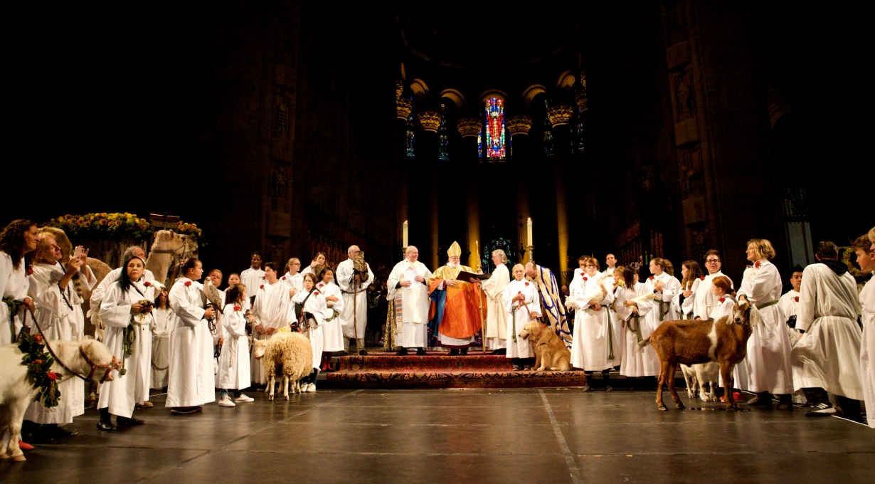 The Feast of St. Francis
