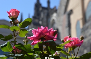 Gardens & Grounds Tour