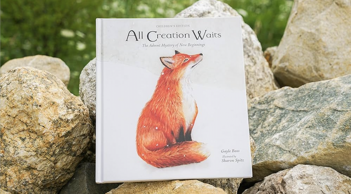 Book Signing & Meet-and-Greet with Gayle Boss: All Creation Waits